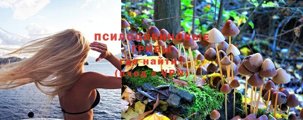 не бодяженный Медвежьегорск
