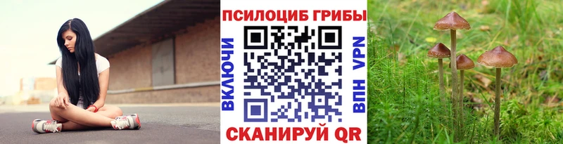 Псилоцибиновые грибы ЛСД  Купить где  Новосиль 